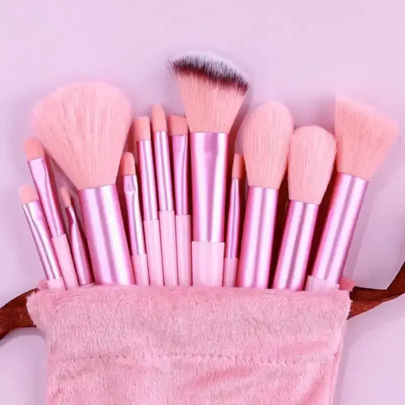 BESTELX Women's Makeup Brush Set | 13 Pcs