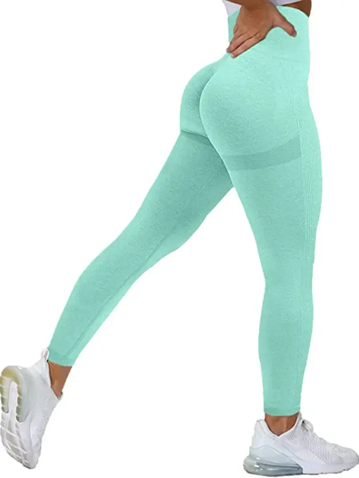 Seamless gym leggings designed with stretchy fabric, providing a flattering fit for all body types.
